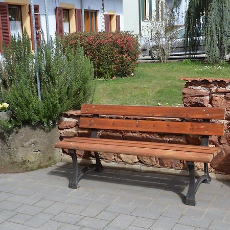 Ferienwohnungen Am Brunnen - Naehe Europapark, W-Lan, Klimaanlage ラインハウゼン エクステリア 写真
